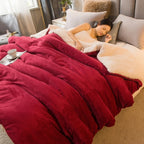 Double-Sided Winter Throw Blanket