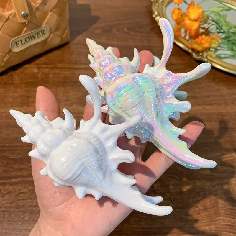 Pearl Shell Hair Claw Clip