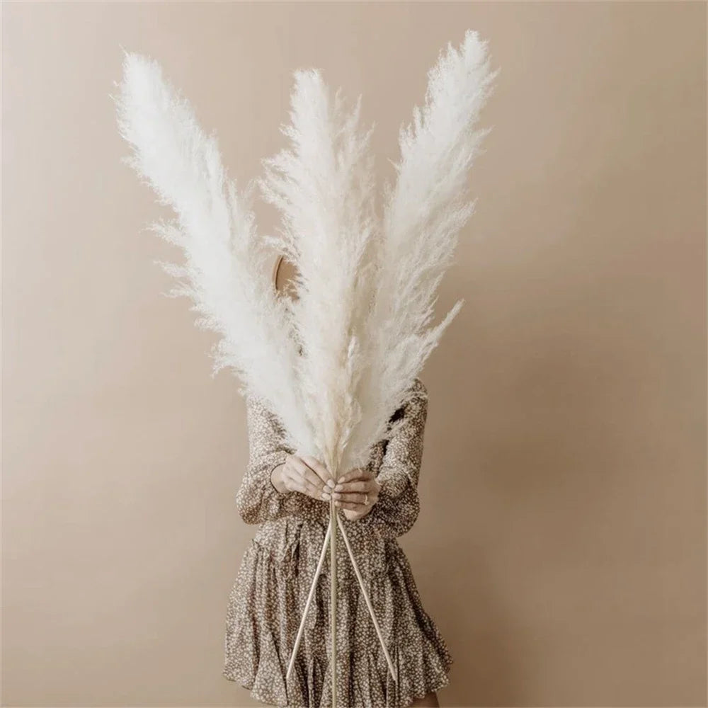 Natural Pampas Grass Stems