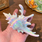 Pearl Shell Hair Claw Clip