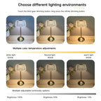 Rechargeable Touch Table Lamp