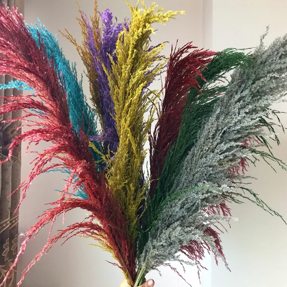 Natural Pampas Grass Stems