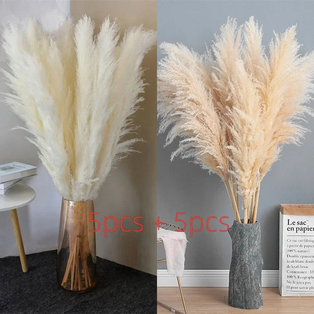 Natural Pampas Grass Stems