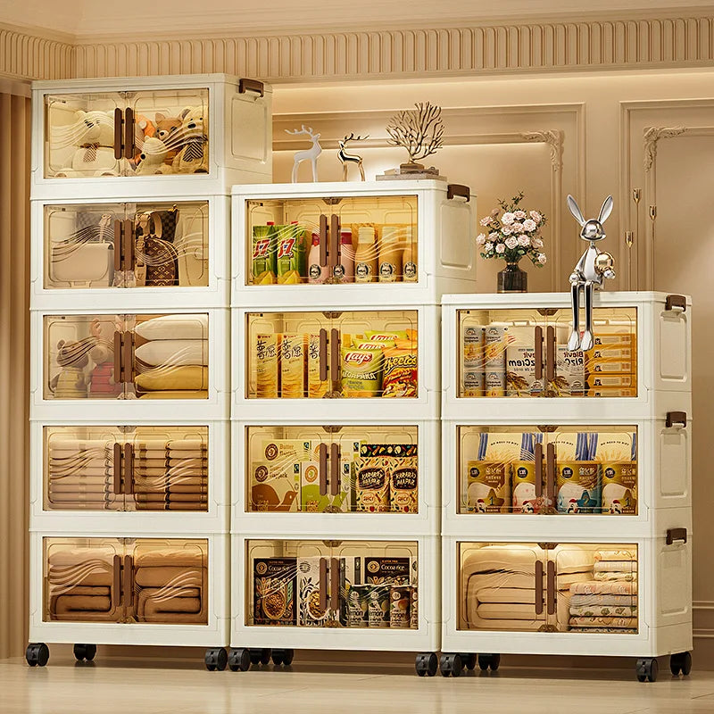 Foldable Clear Door Storage Box