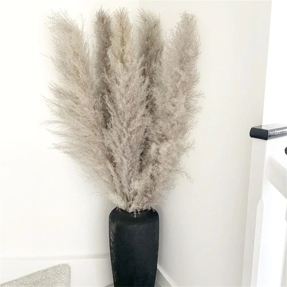 Natural Pampas Grass Stems