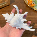 Pearl Shell Hair Claw Clip