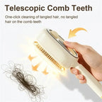 MistGlow™ Hydrating Hair Brush