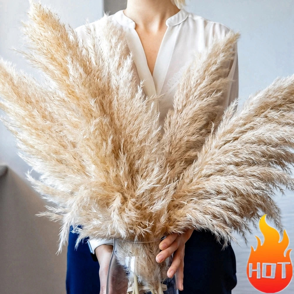 Natural Pampas Grass Stems